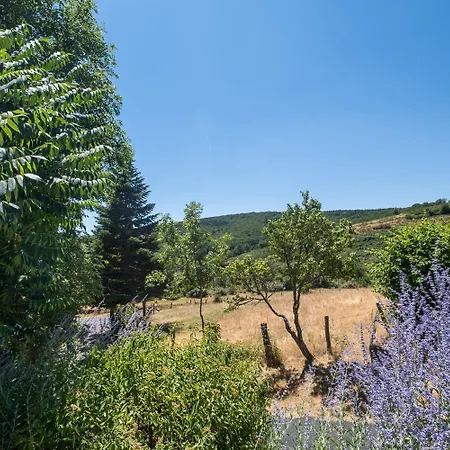 Au Pied De L'aubrac Les Salces